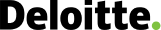 Audit Partner