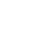 Government Public Sector