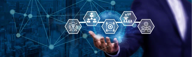 Stewardship Workflow Automation